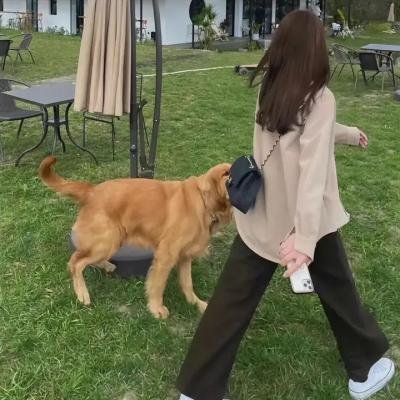 狙杀狗仔队